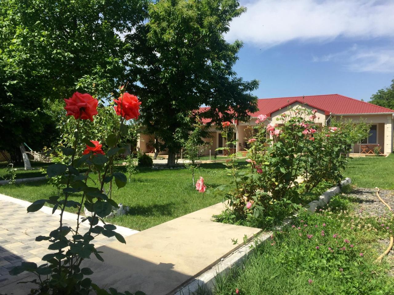 One Dom Cottage גאלבה מראה חיצוני תמונה